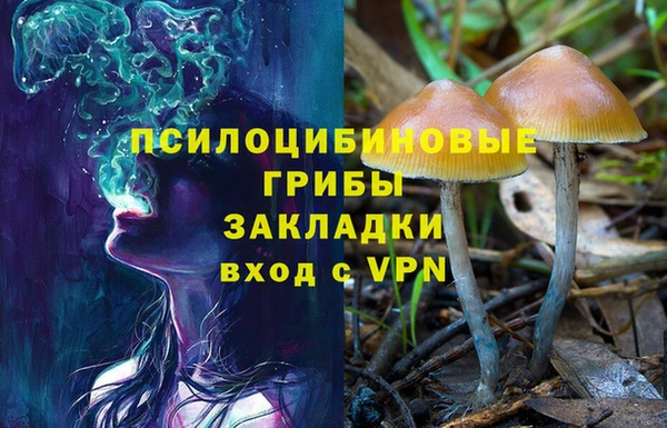 соль курить ск Аркадак